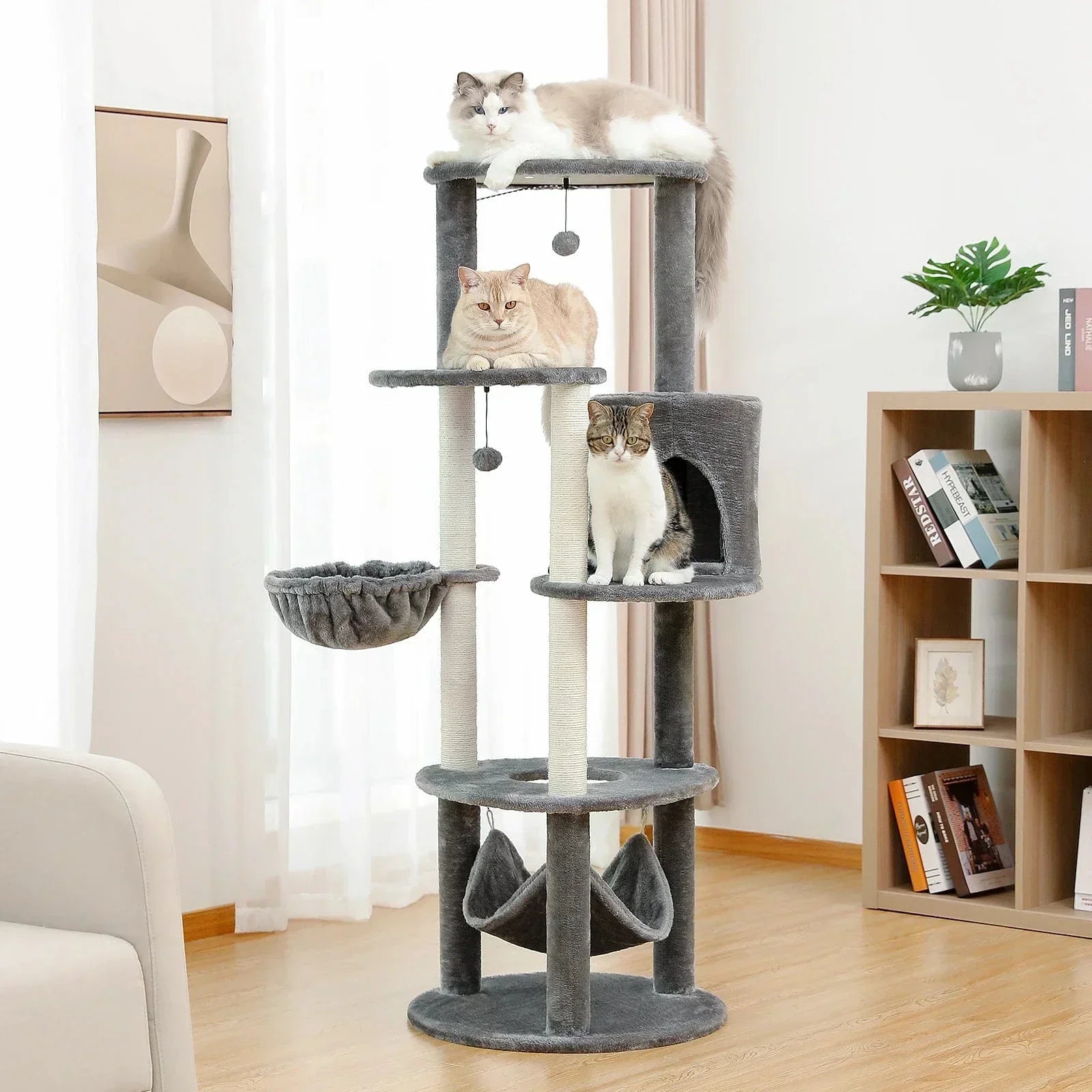 l-arbre-a-chat.com Arbre a Chat Modern